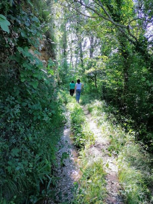 La Casirria Villa Olba Dış mekan fotoğraf