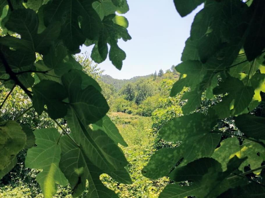 La Casirria Villa Olba Dış mekan fotoğraf