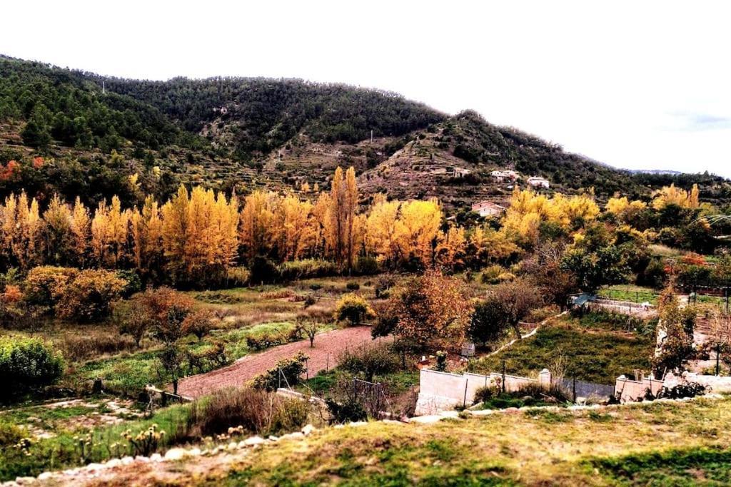 La Casirria Villa Olba Dış mekan fotoğraf