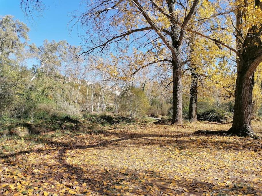 La Casirria Villa Olba Dış mekan fotoğraf